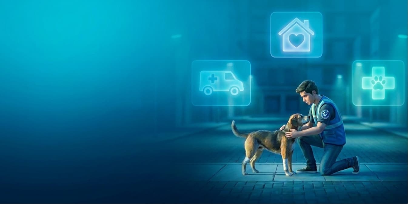 Instant Help for Animals in Need
